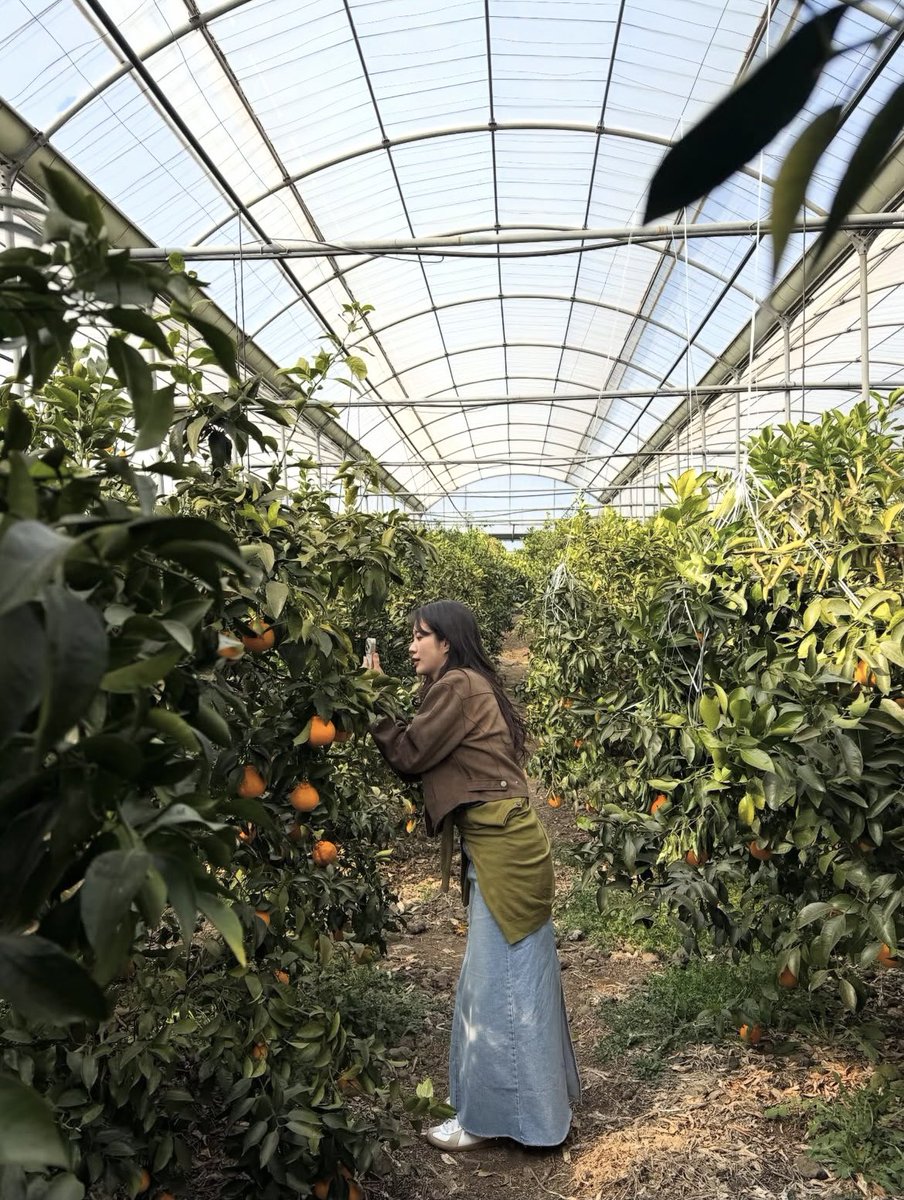 박새힘 아카이브 tweet media