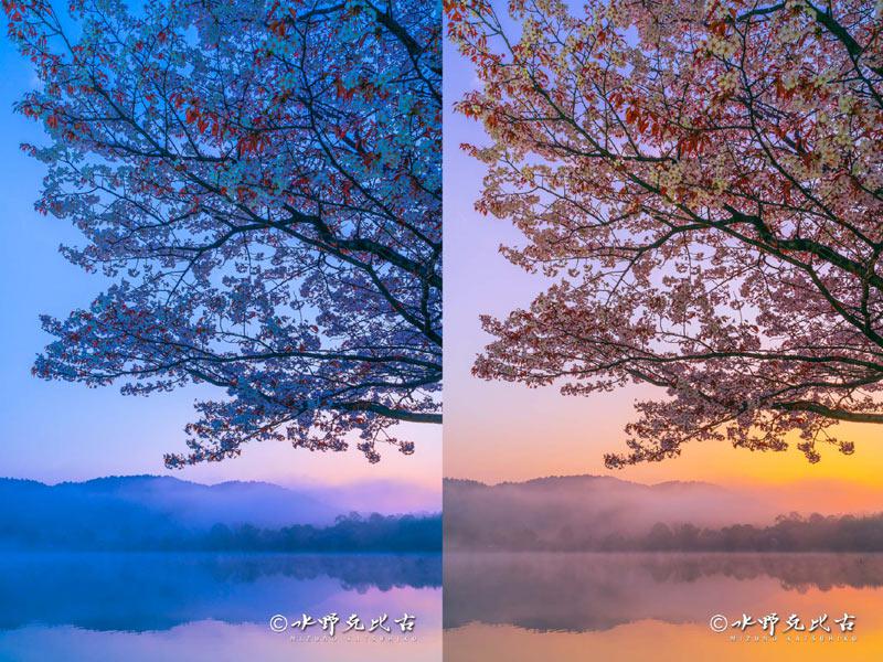 ＜桜写真の簡単撮影テクニック＞
東日本〜西日本で桜の開花ラッシュを迎えています。
桜をより美しく撮影するためには、『光』を意識することと、カメラがもつ機能性を理解することが大切です。写真家の水野克比古さんに「桜写真の簡単撮影テクニック」を教えて頂きました。
weathernews.jp/news/202603/27…