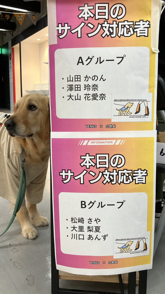 (社福)日本介助犬協会 tweet media