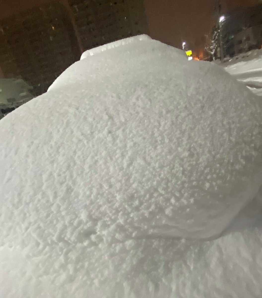 北海道ゴハット tweet media