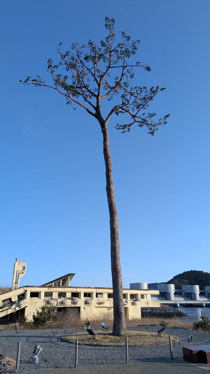 みじぇ tweet media