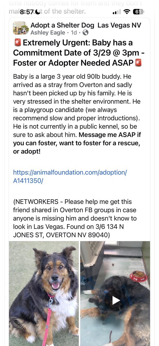 Christine Creed tweet media