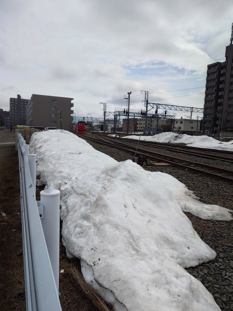 こみこ tweet media