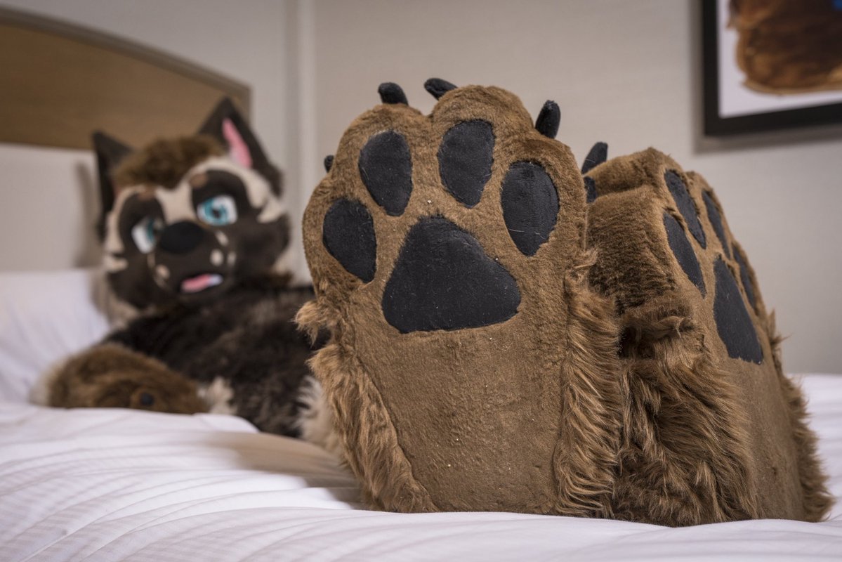 Apollo 🔜 TFF, LVFC tweet media