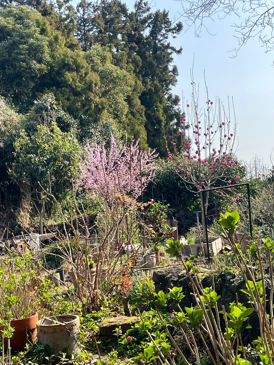 푸순 엄마 tweet media