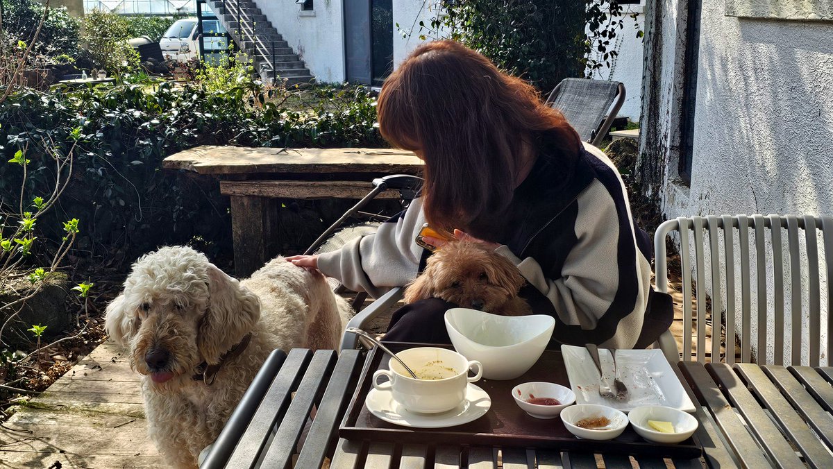 푸순 엄마 tweet media