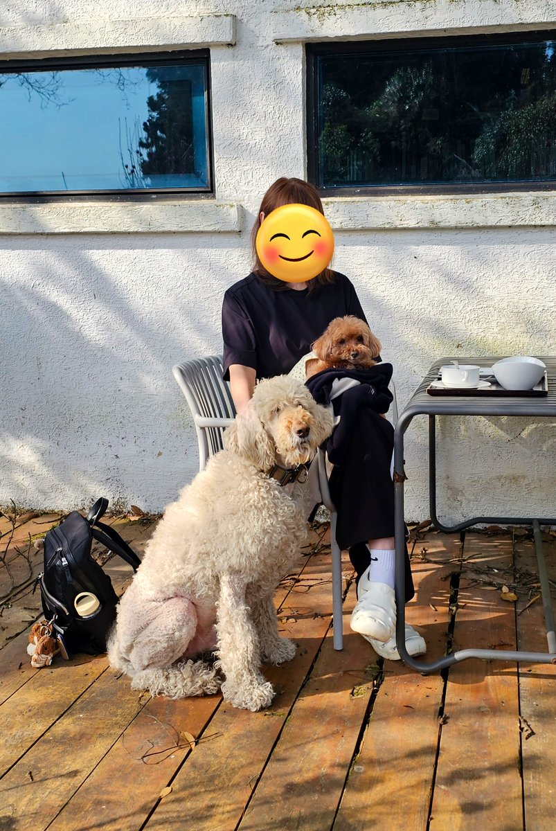 푸순 엄마 tweet media