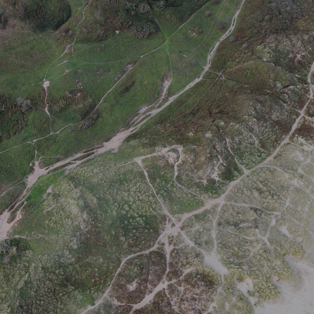 Meditations tweet media