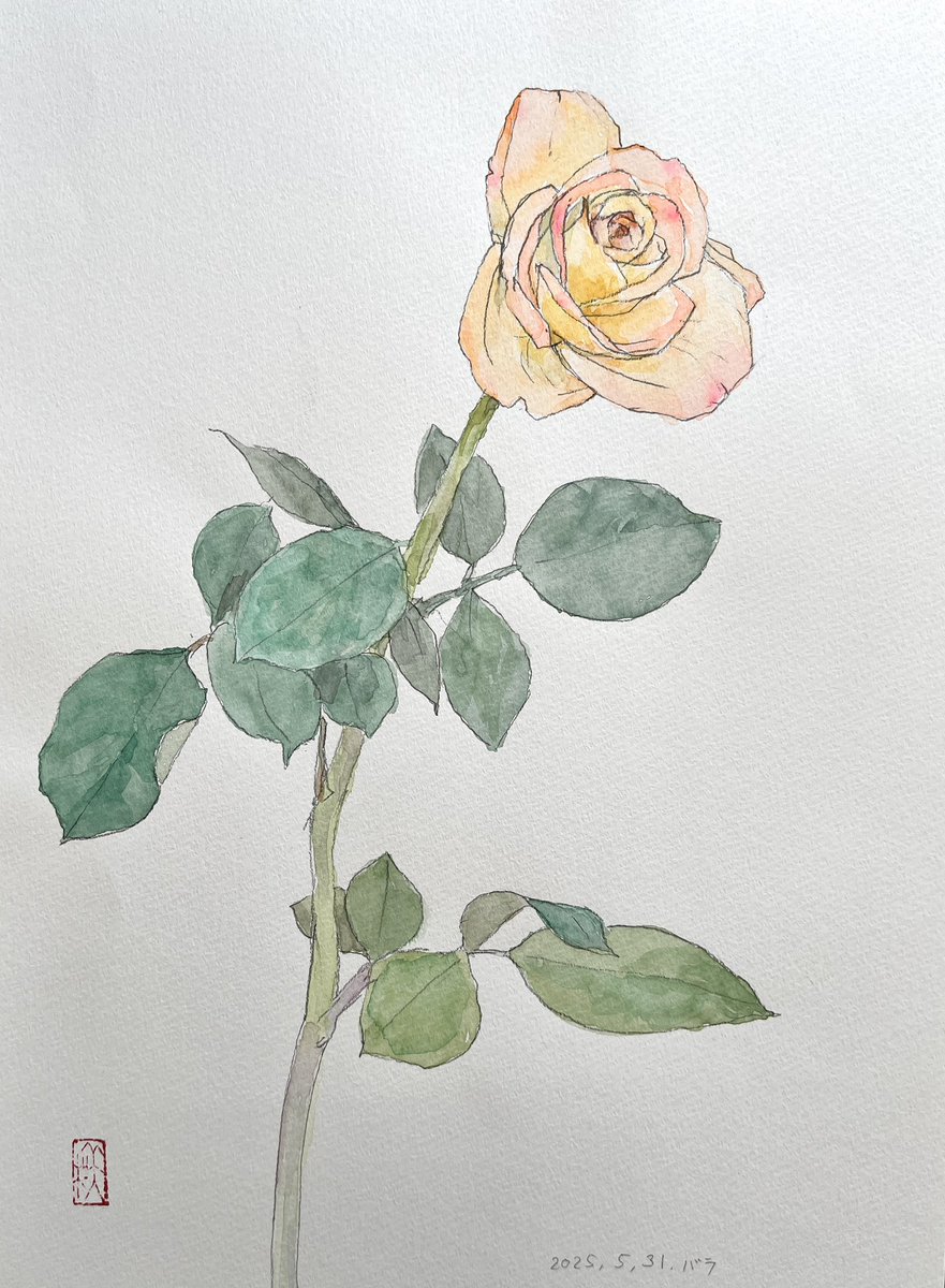 個展5日目、良いお天気の土曜日です。
「笠原美和日本画個展〜まなざしの来し方〜」
日本画作品の他に水彩の素描も展示しています。

会場：立川アートスペース
会期： 2026年3月24日(火)〜2026年3月29日(日)
時間： 12:00〜18:00(最終日：17:00)
会期中は毎日在廊いたします。