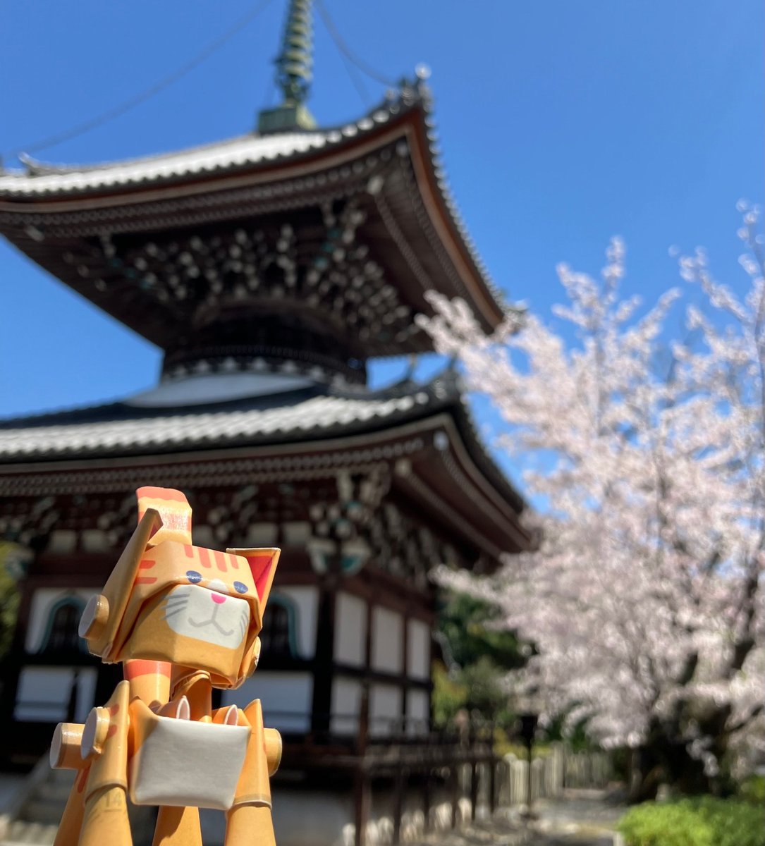 PIPEROID_jp's tweet photo. 本法寺
#本法寺 #京都めぐり #京都観光 #桜
#パイプロイド #PIPEROID #フィギュア #figure #Papercraft
#ペーパークラフト #紙製品 #paperproducts #手作り #紙工作
#手作り雑貨 #ハンドメイド #Handmade #紙もの #紙
#デザインペーパー #紙好き #diy女子 https://t.co/h5khB0sRNn