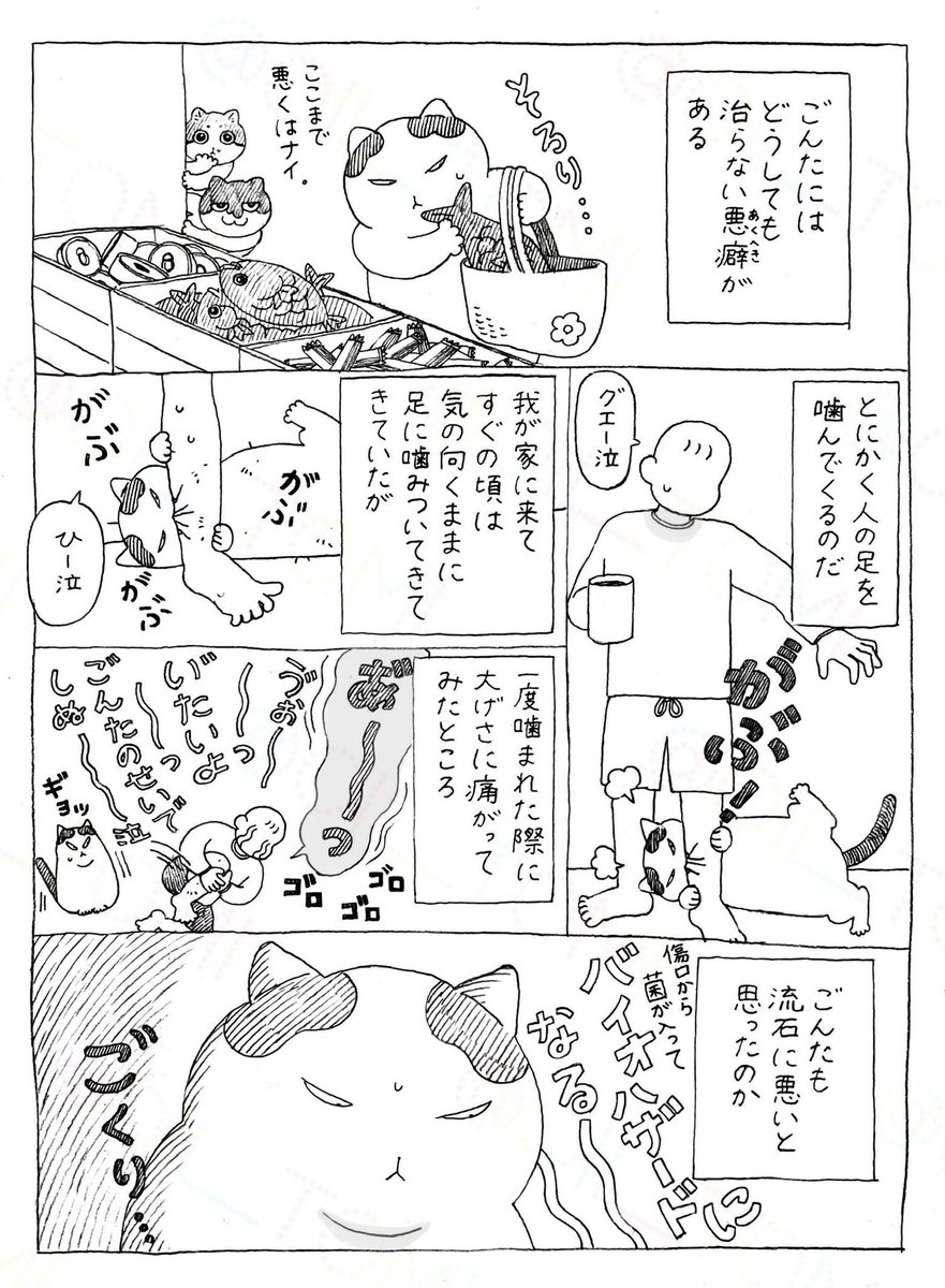 オイル富🪤 tweet media