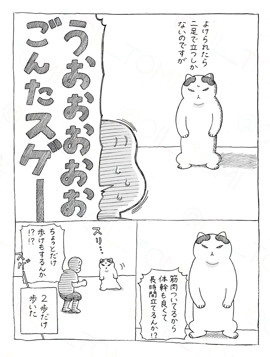 オイル富🪤 tweet media