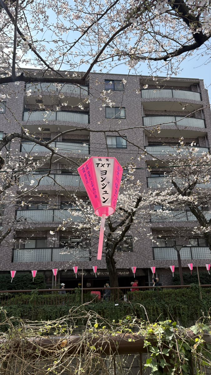 TokyoYurie's tweet photo. 見つけた！ https://t.co/rGs0tM2hOr