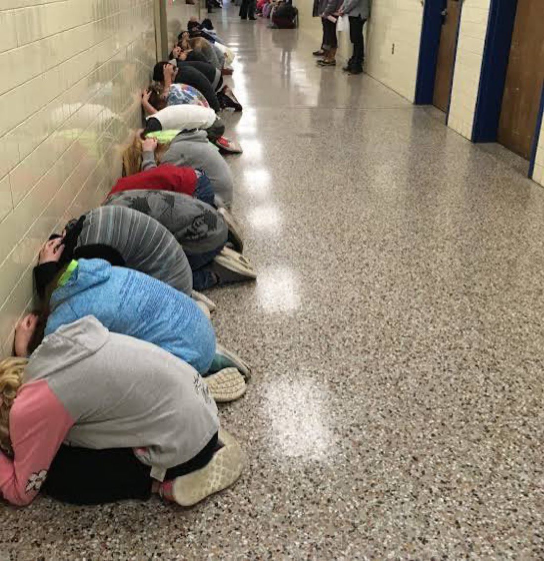 biev 🦫 tweet media