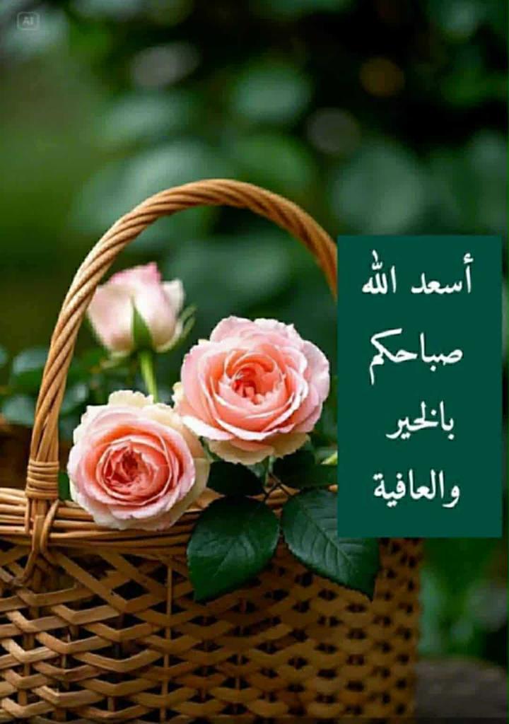 صبحي إبراهيم (🇪🇬🇦🇹🇪🇬) tweet media