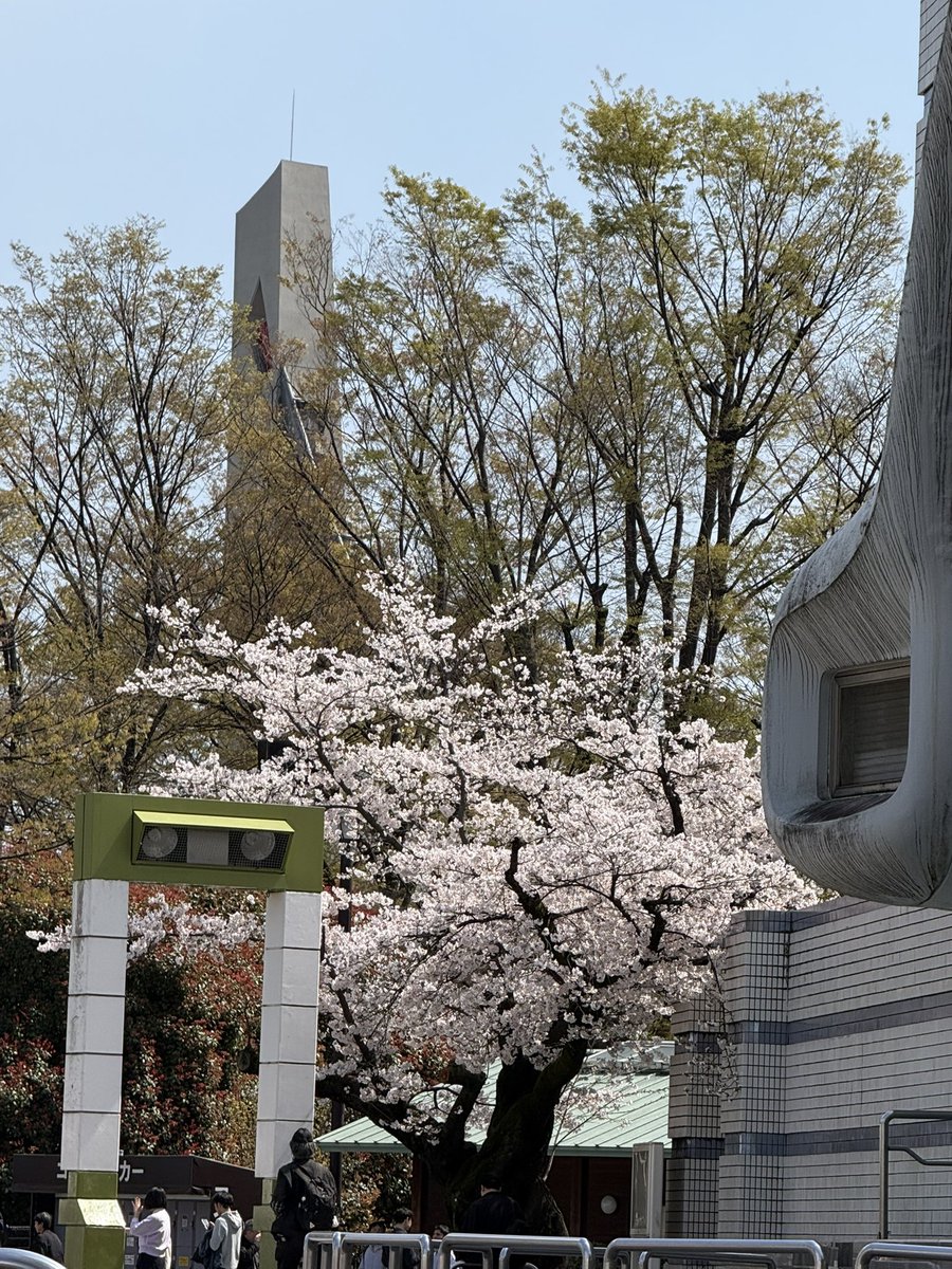 (お)SPT tweet media