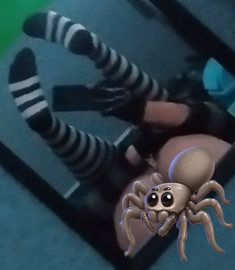 Kiwi explosivo 🥝🫀 tweet media