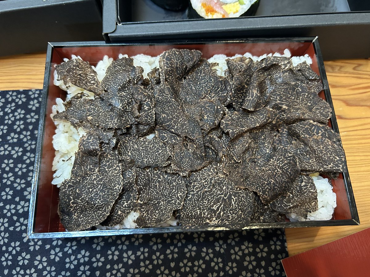 生徒会長金子(2025年、5000人フォロワー目標) tweet media