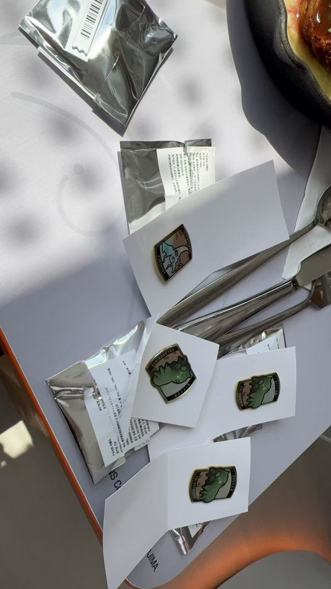 有一说一，日本快闪，我就差电气虫，这次终于齐了，我怀疑电气虫是不是根本就没几个？？？？