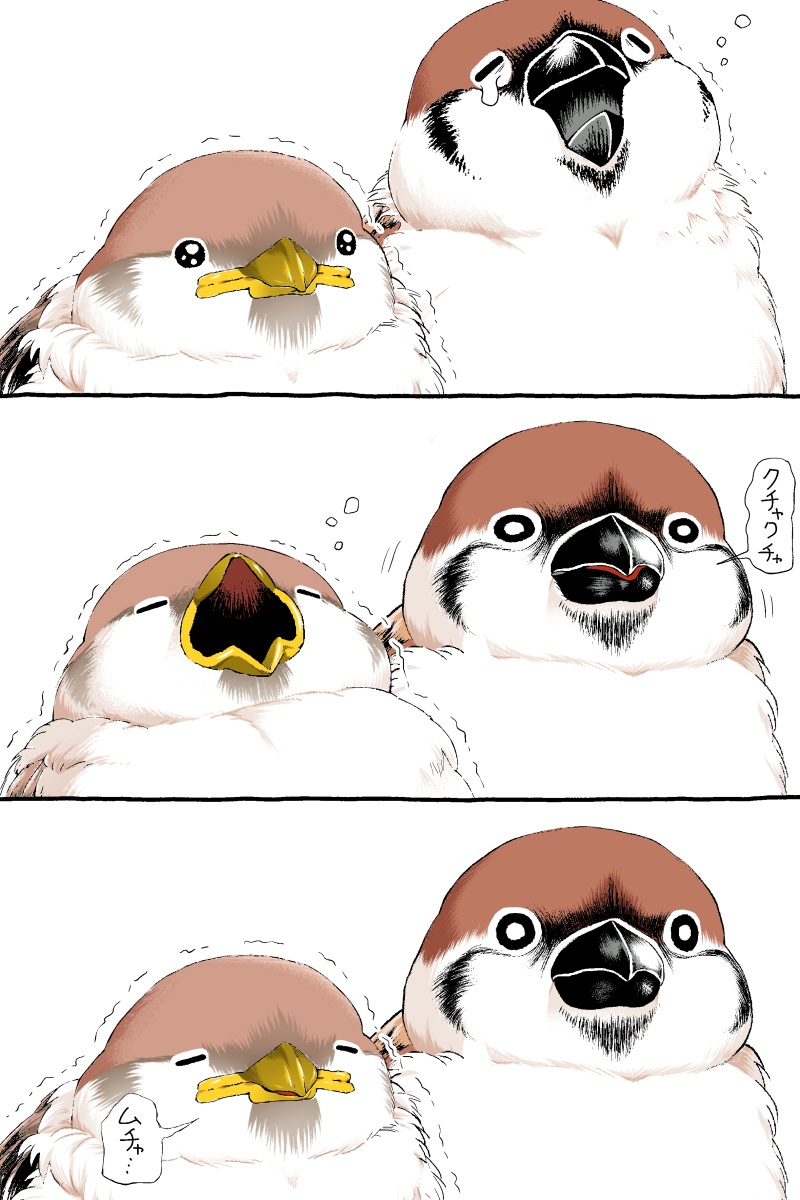 初丸うげべそ🕊『キジバトくん日記②』10/20発売 tweet media