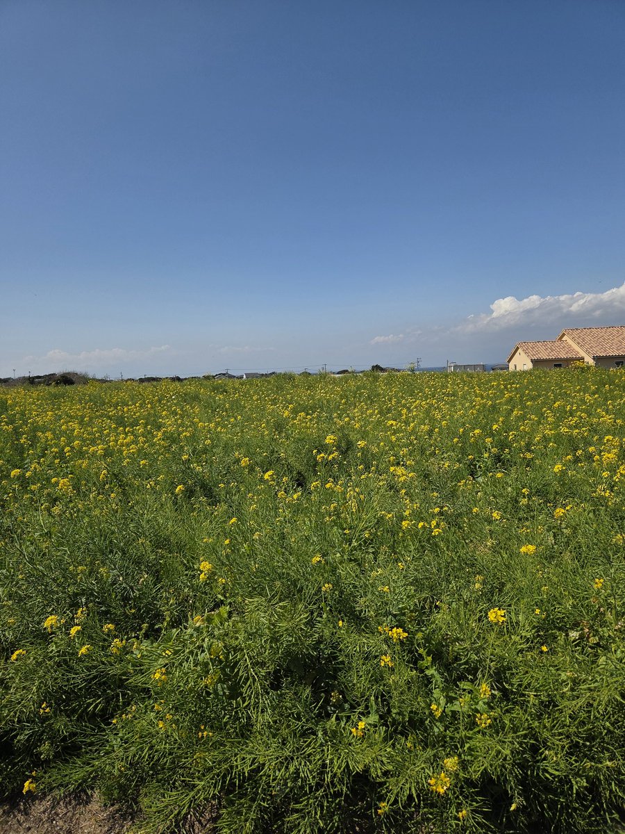 ままみん☆ tweet media