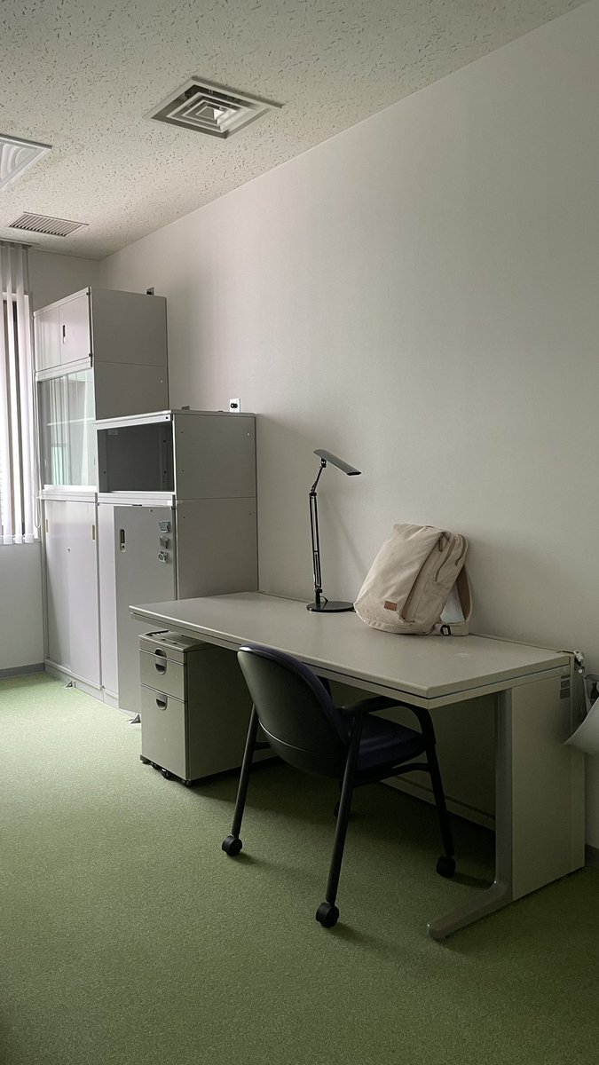 猫教授 tweet media