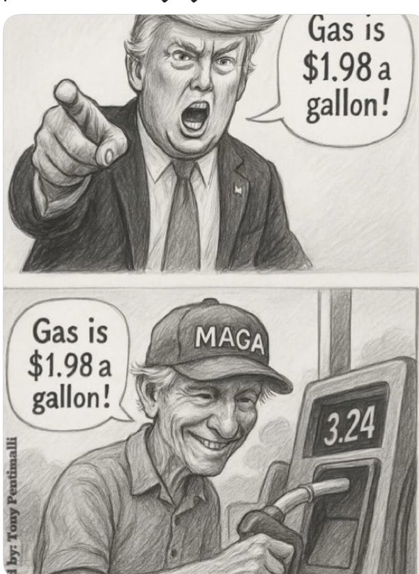 Suzie rizzio tweet media