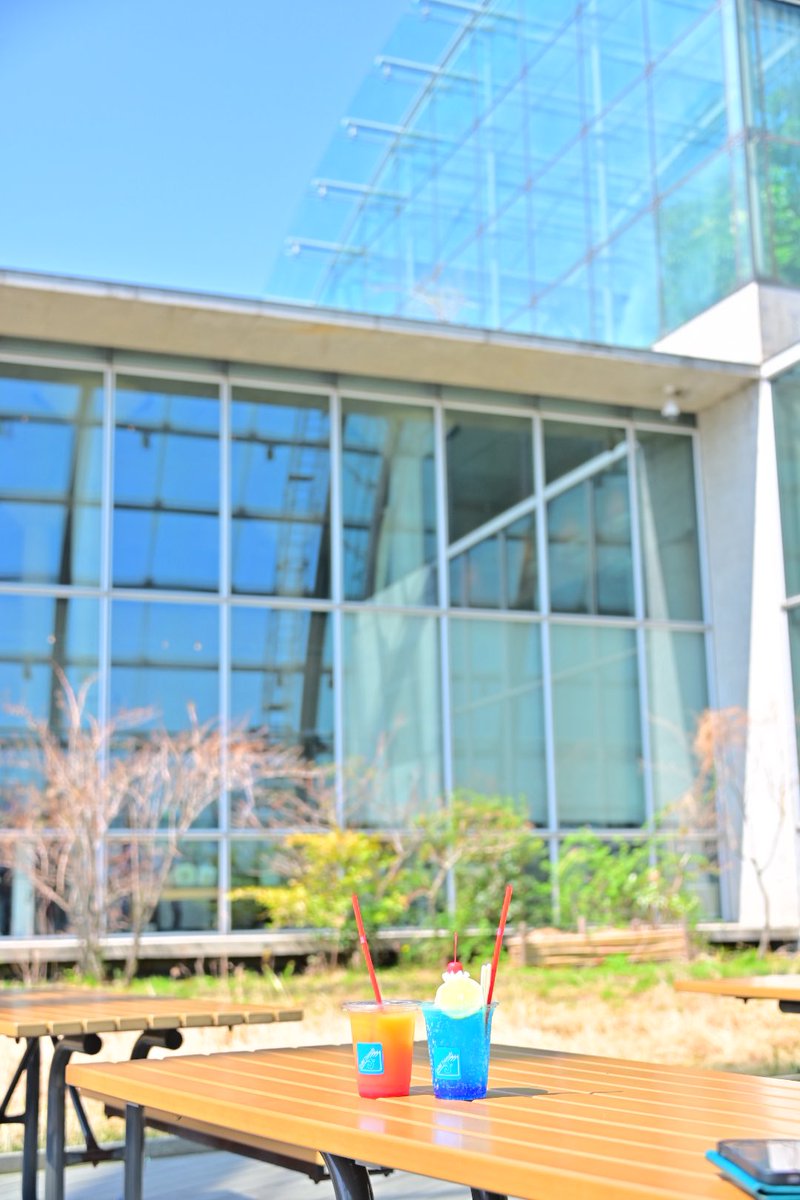 にんじゃ tweet media