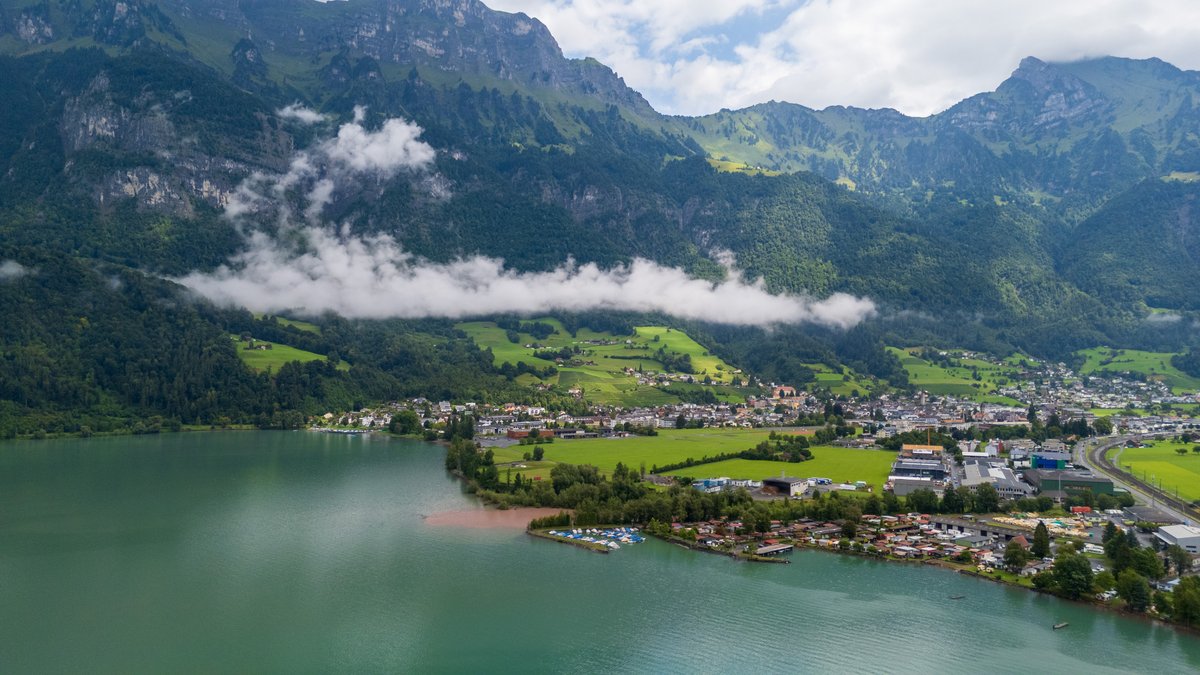 meshal 🇰🇼 tweet media