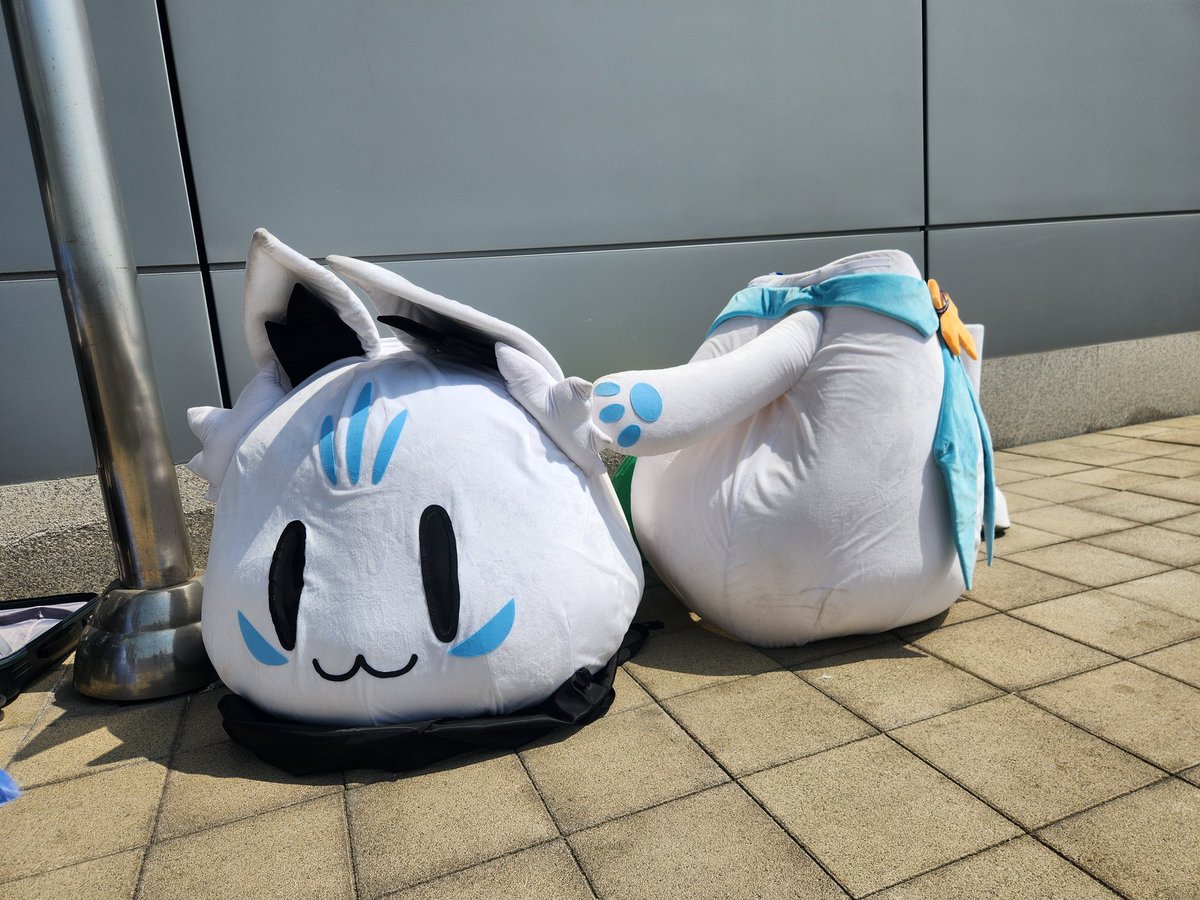 줌탱🌽 tweet media