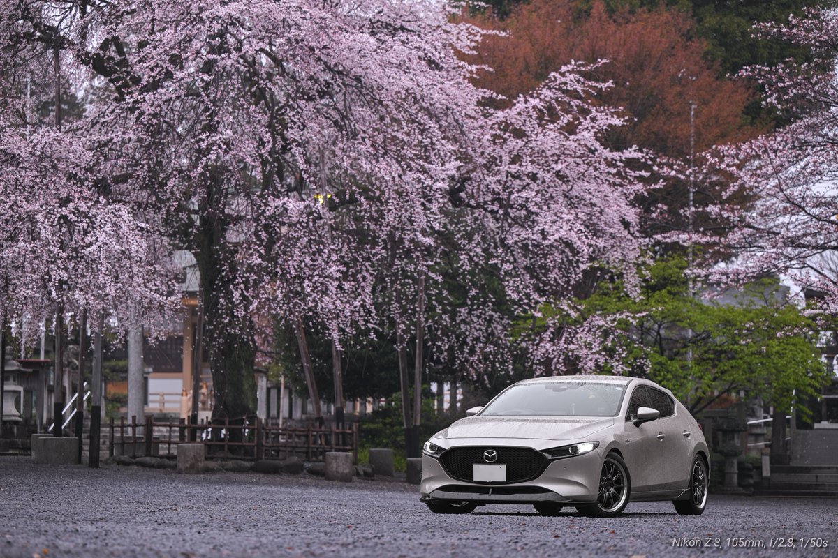 コウジ tweet media