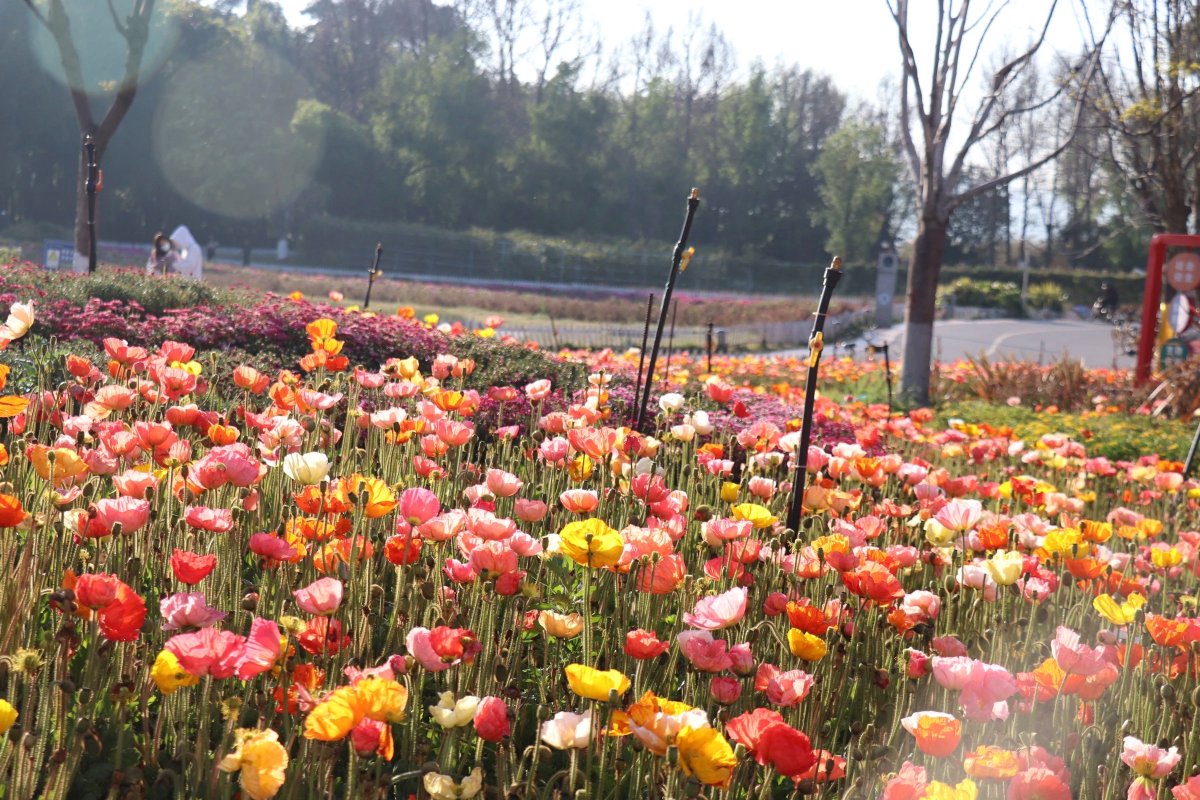 如初（互fo） tweet media