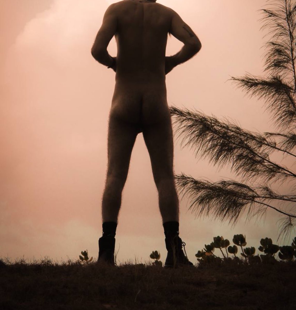 Miss Vamp & Mr Lobo tweet media