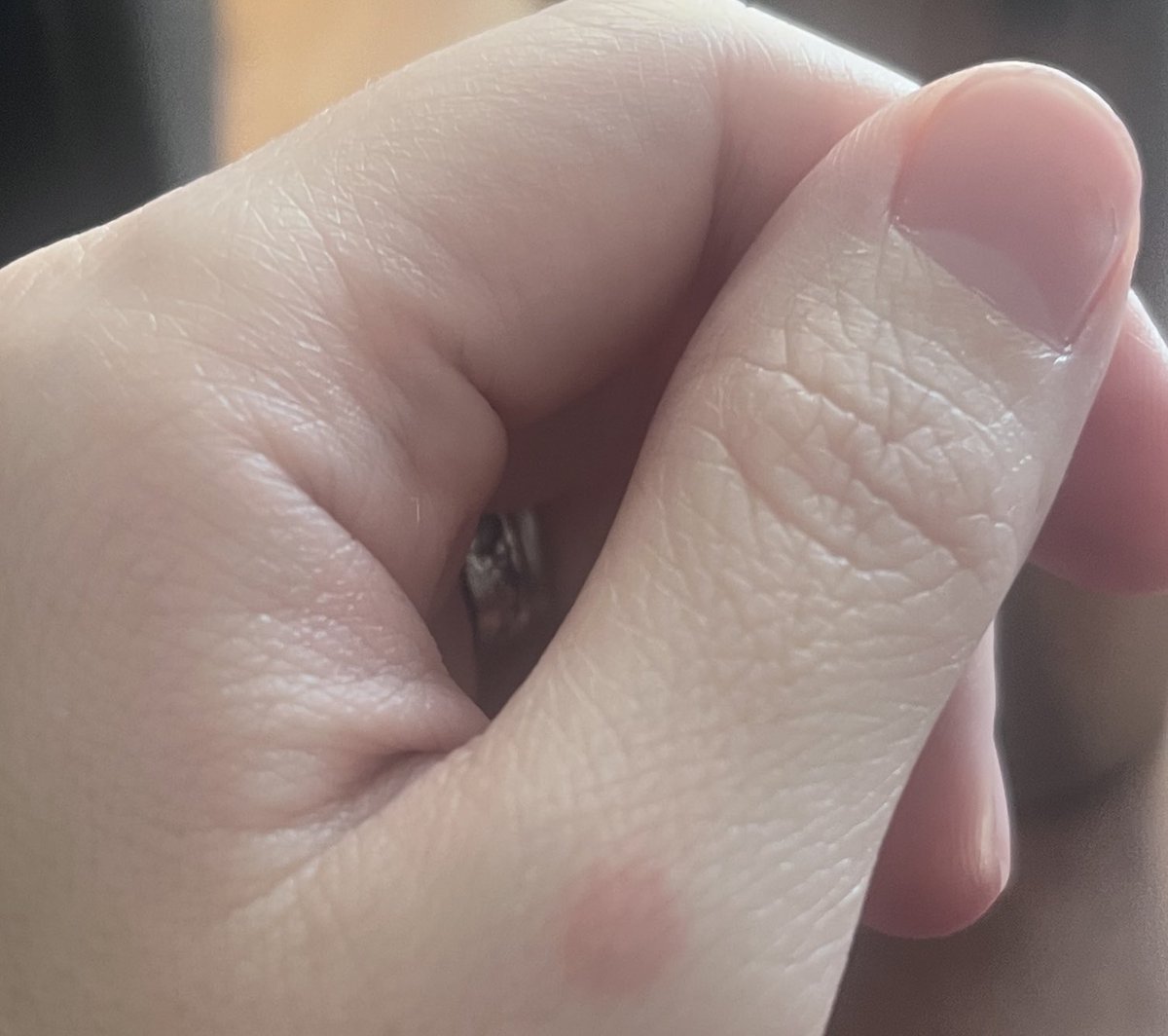 原稿やれ🦍 tweet media