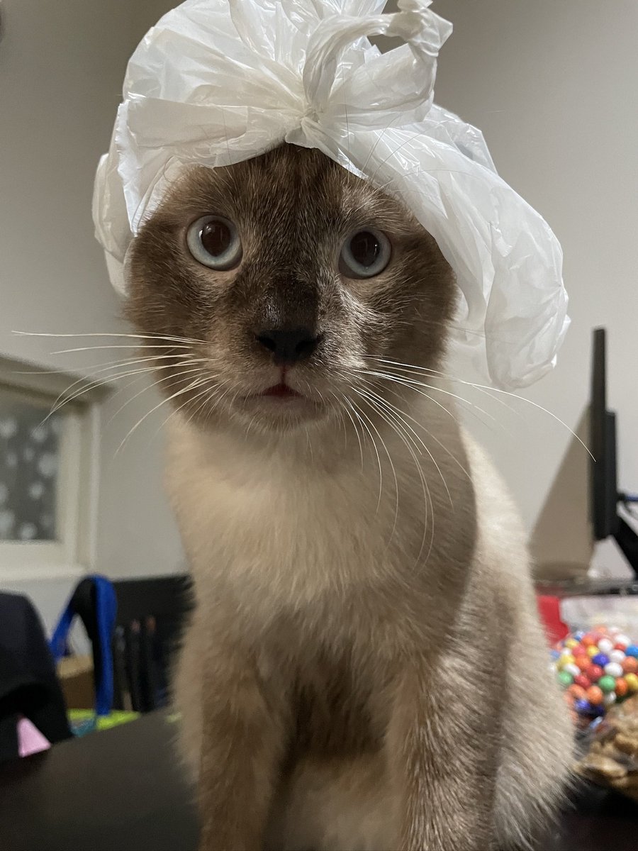 JUNOT ´･ᴗ･` tweet media