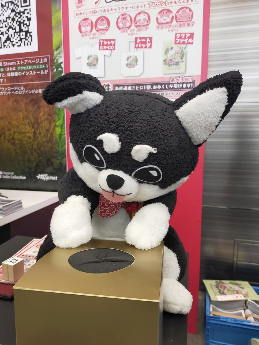 ぎょっちゃん tweet media