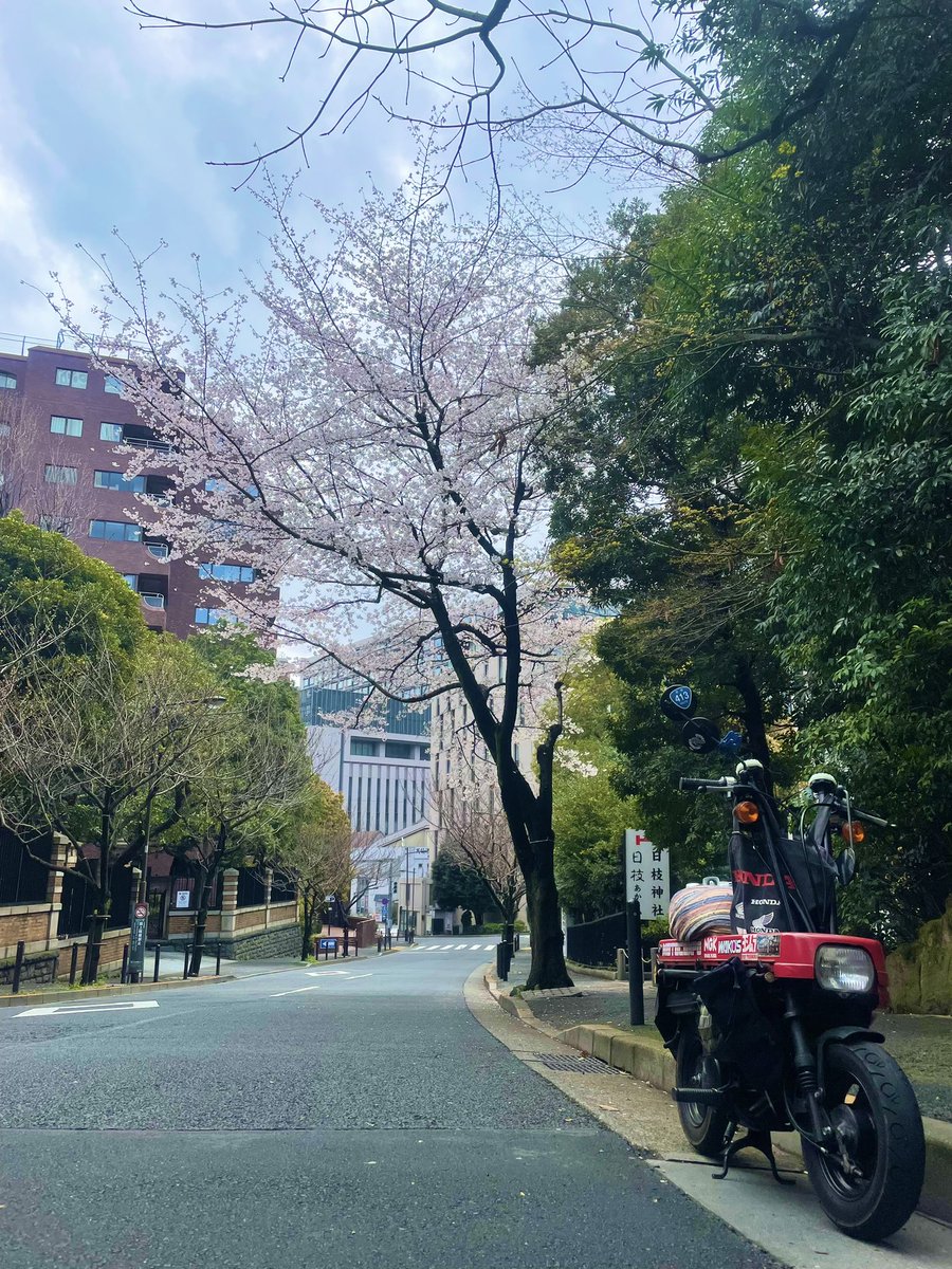 おっさんΦ tweet media