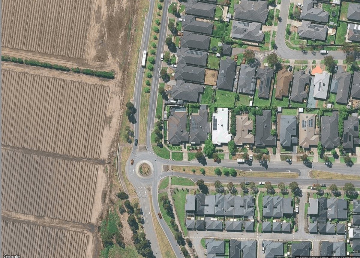 Australian 🧡 tweet media