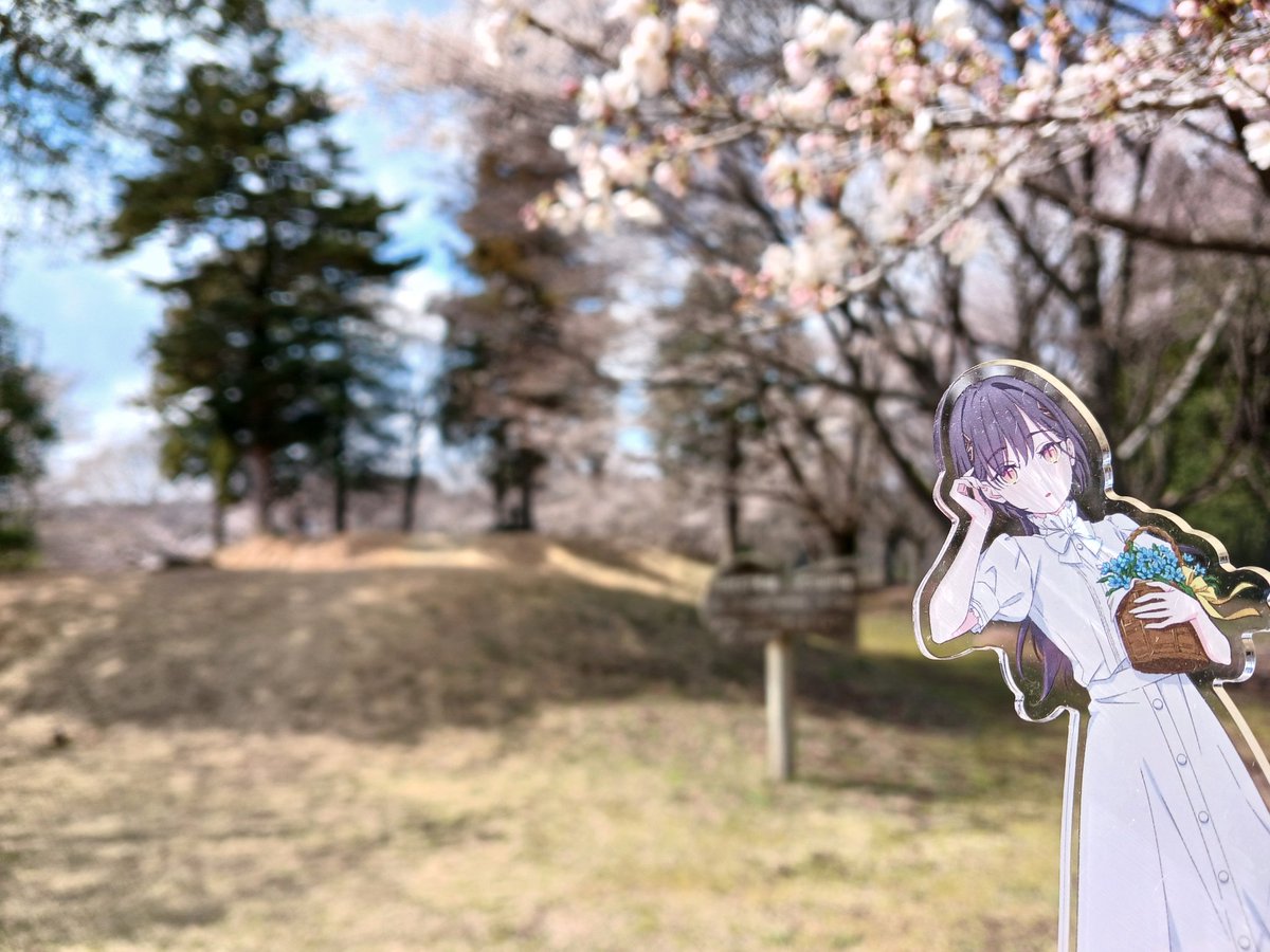 桂城泉さん、古墳と桜です