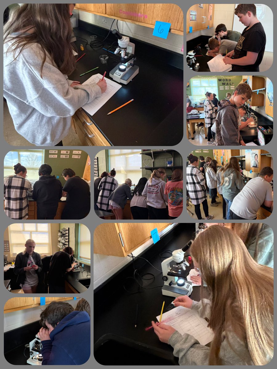 OCSupt's tweet photo. I LOVED watching our students get so excited as they studied plant and animal cells in Mrs. Dempsey’s and Mrs. Hathaway’s co-teaching classroom this week. Our students were so engaged with this vibrant learning experience. #WEareOC #RebelPride #VibrantLearninginScience https://t.co/EE5XdVIelM