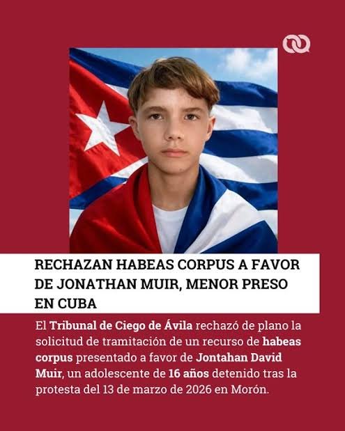 La Secta TV 🔻 tweet media