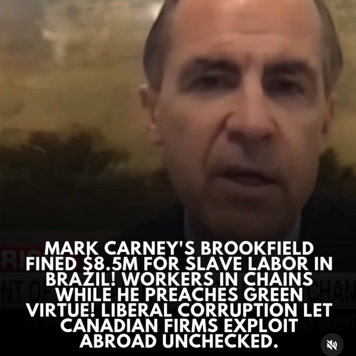 old stock Canadian 🇨🇦 🇨🇦 tweet media