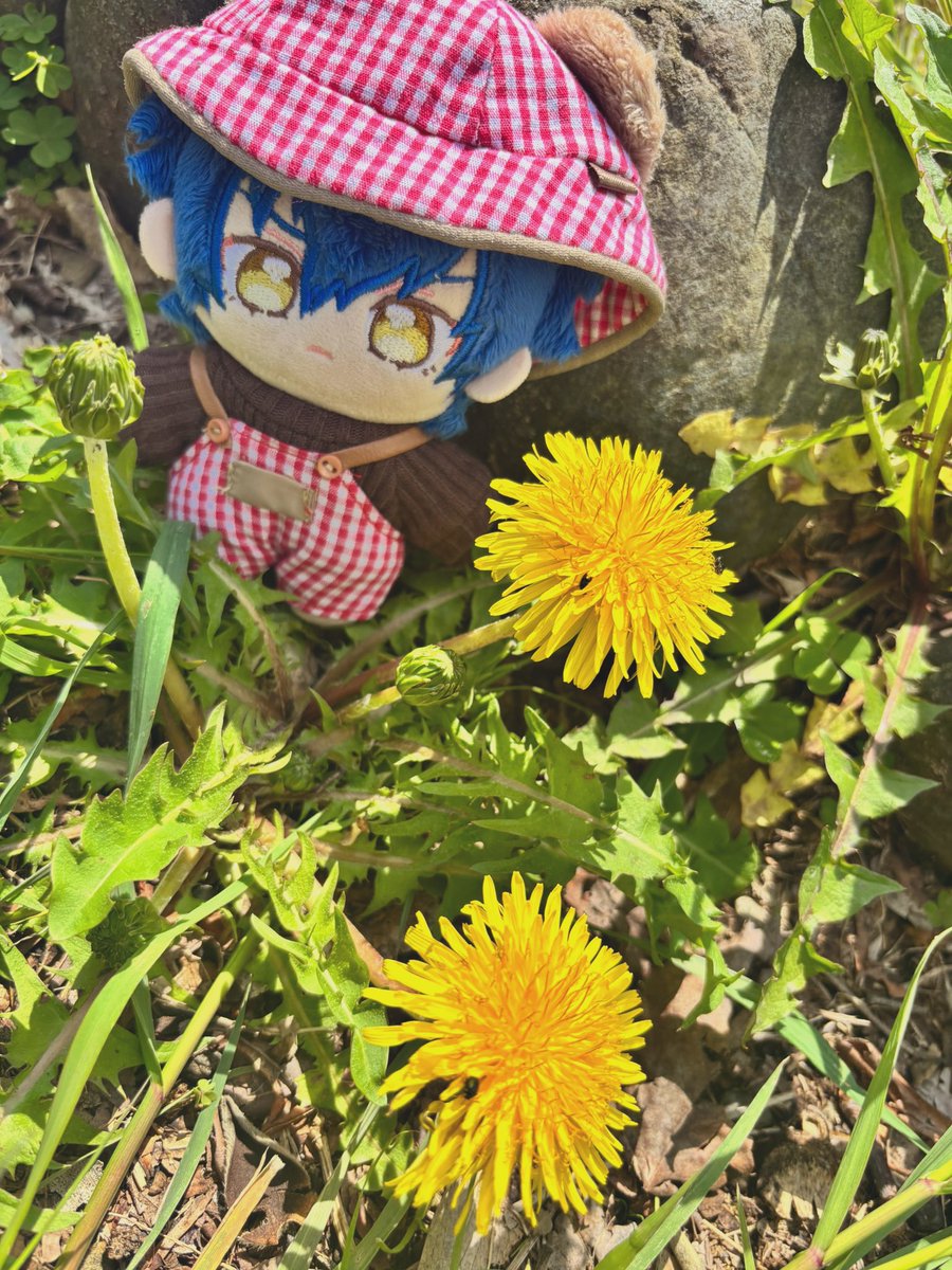 みんなでおさんぽ🌷

#いつぬいが見られるタグ