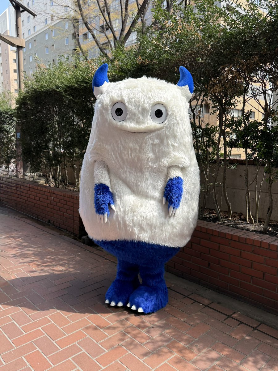 🟡🦭 tweet media