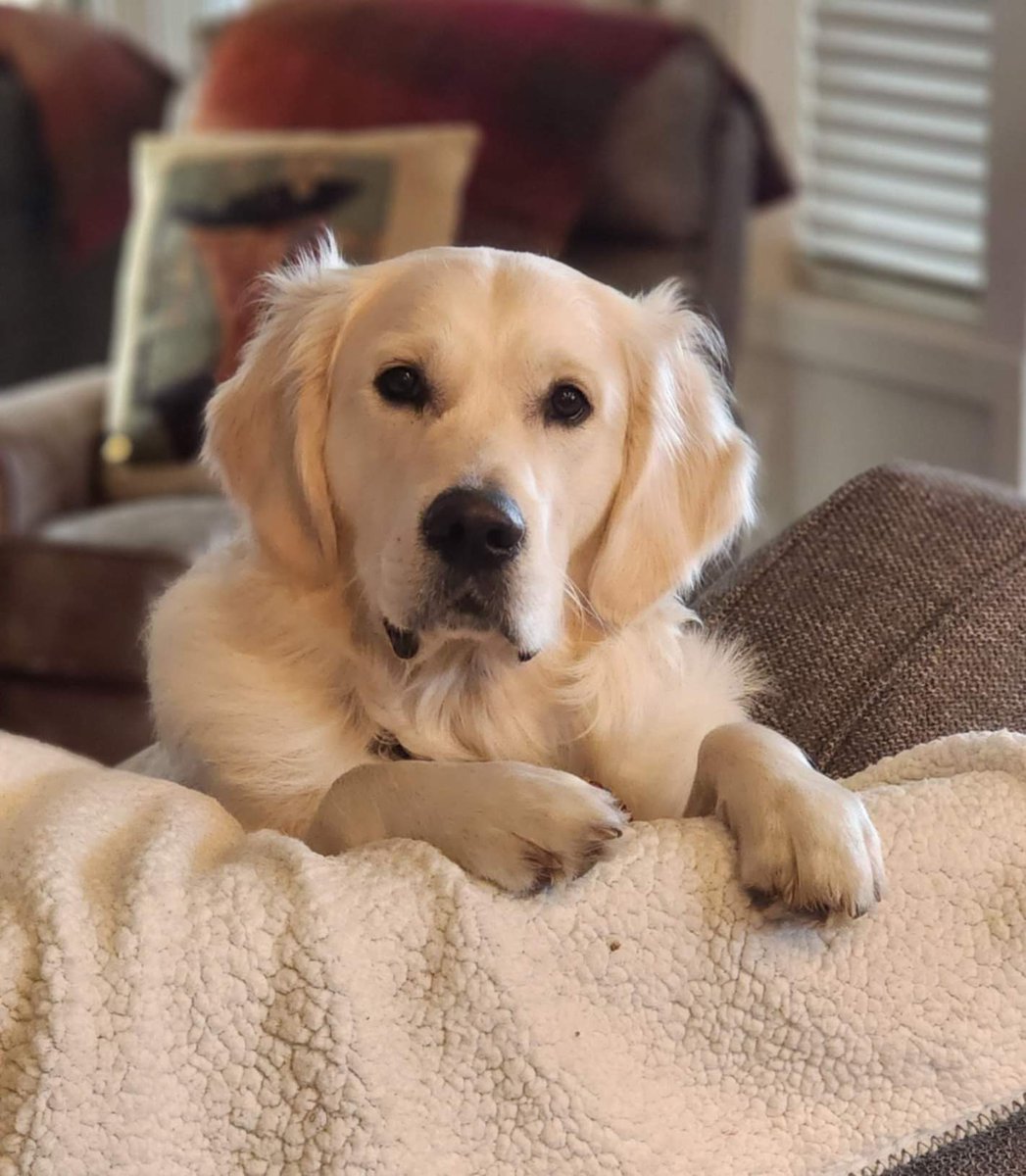 Base Gunner tweet media