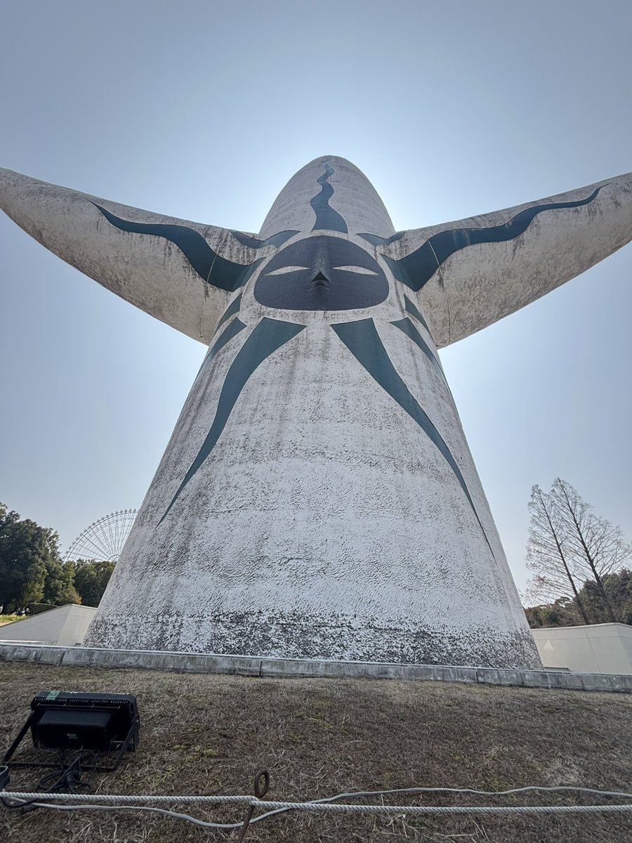 鳩胸さん@3/29 1号館い10a tweet media