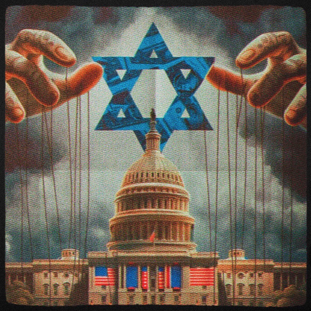 Timothy Costa tweet media