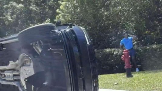 Trump Girl tweet media