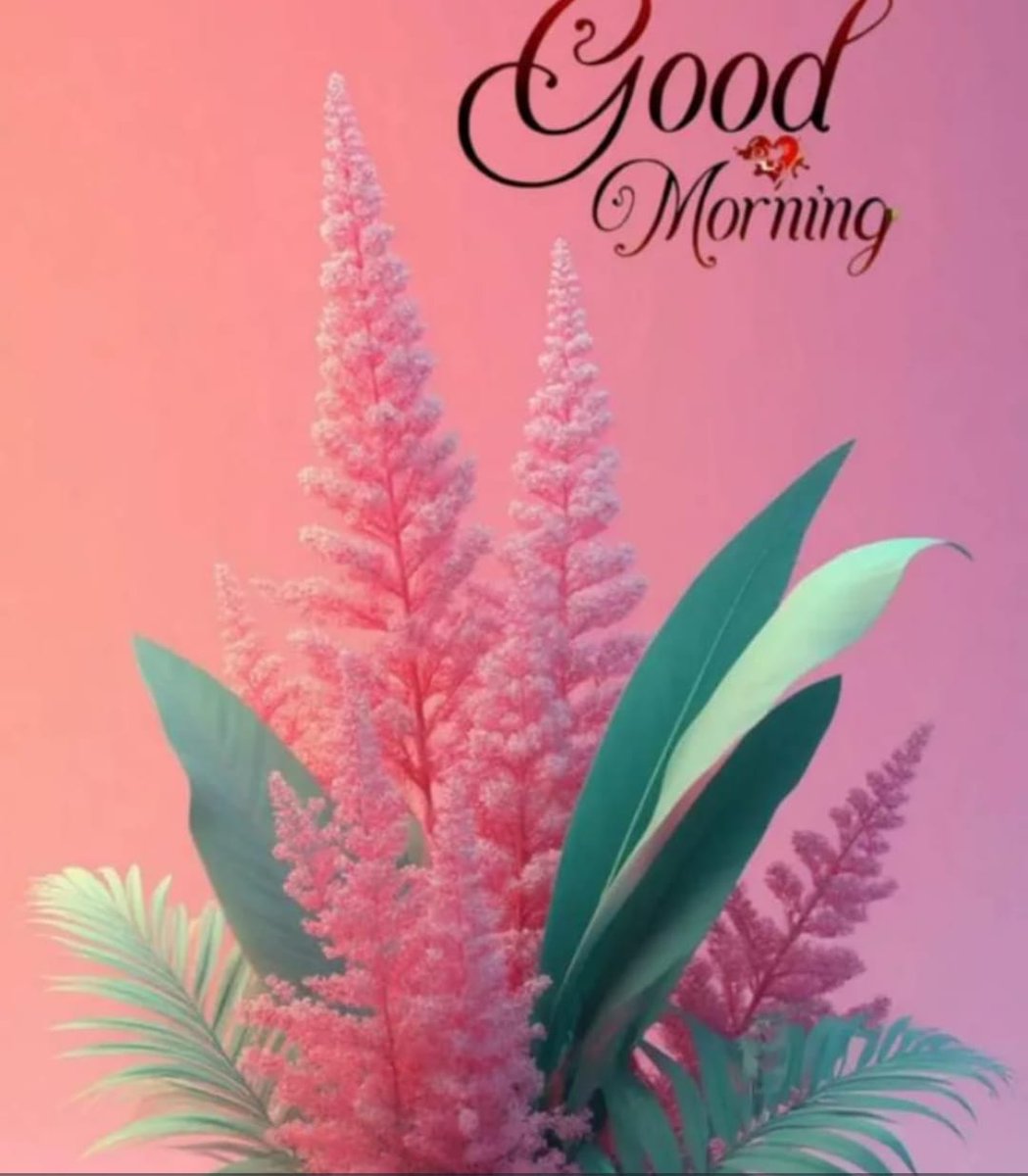 Pronab0302's tweet photo. Good morning 🌞 CT.. https://t.co/uJyJqwodfd
