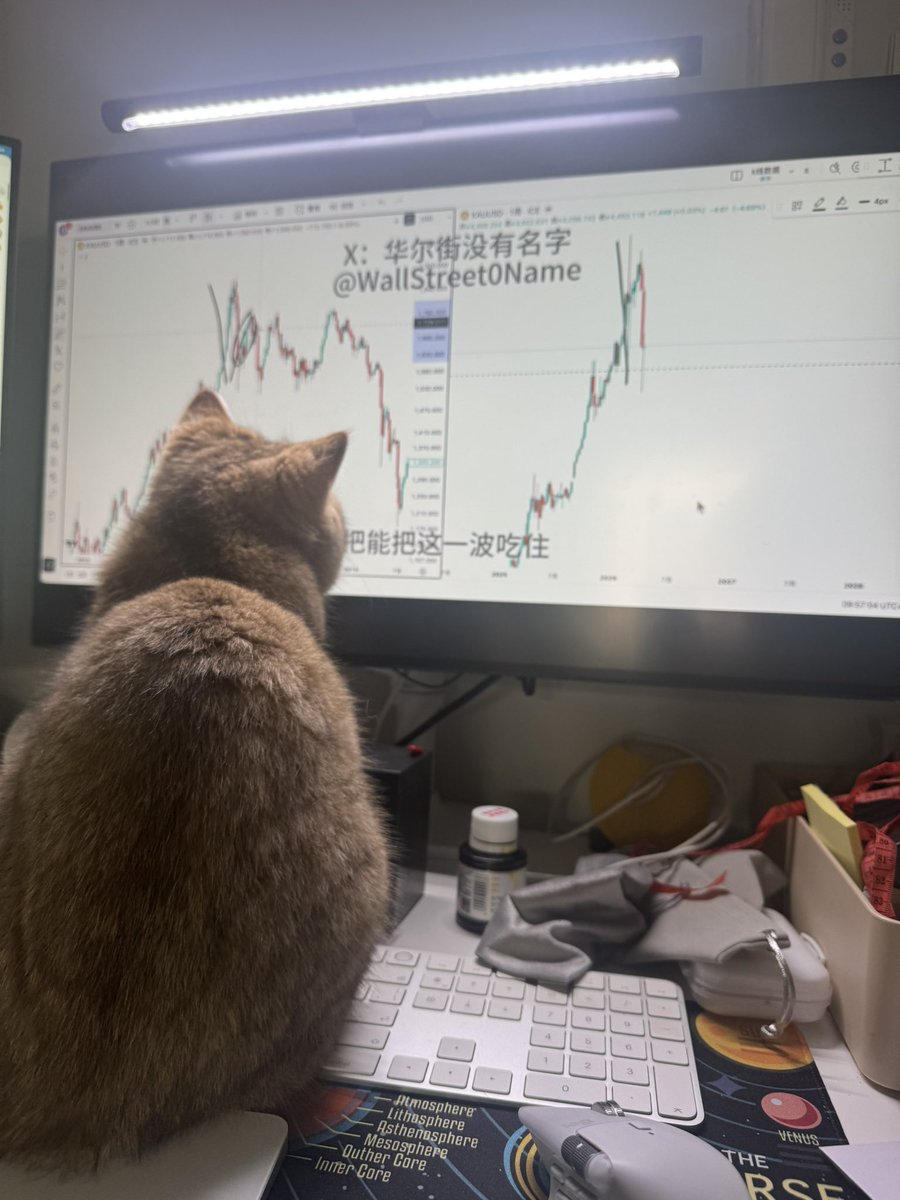 bugvytv's tweet photo. @WallStreet0Name https://t.co/4YOD2giCjt